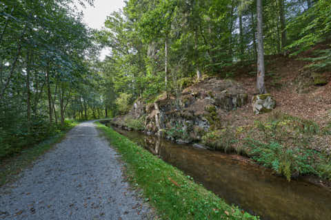 Gemeinde Waldkirchen Landkreis Freyung-Grafenau Saußbachklamm (Dirschl Johann) Deutschland FRG